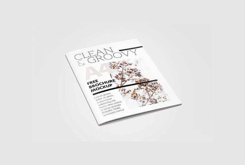 Brand Identity